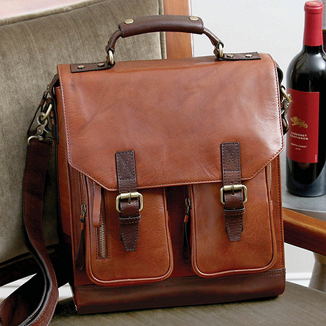 wine enthusiast wine luggage