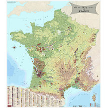 Wine Map of France
