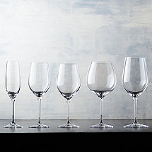 Complete Fusion Classic Wine Glass Collection (Set of 20)