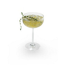 Fusion Coupe Glasses (Set of 4)