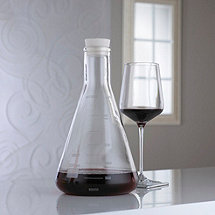 Erlenmeyer Flask Lab Decanter