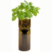 GrowBottle Indoor Herb Garden Kit