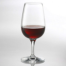 Fusion Classic Port Wine Glasses (Set of 4)