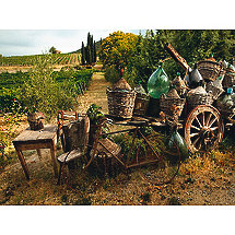 All Weather Outdoor Tuscan Print (30 X 40)