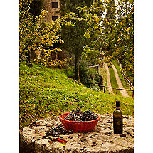 All Weather Outdoor La Raccolta Print (30 X 40)