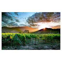Wine Country Sunset Print on Canvas