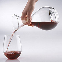 Wine Enthusiast U Decanter and Tumbler Set