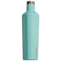Corkcicle Canteen